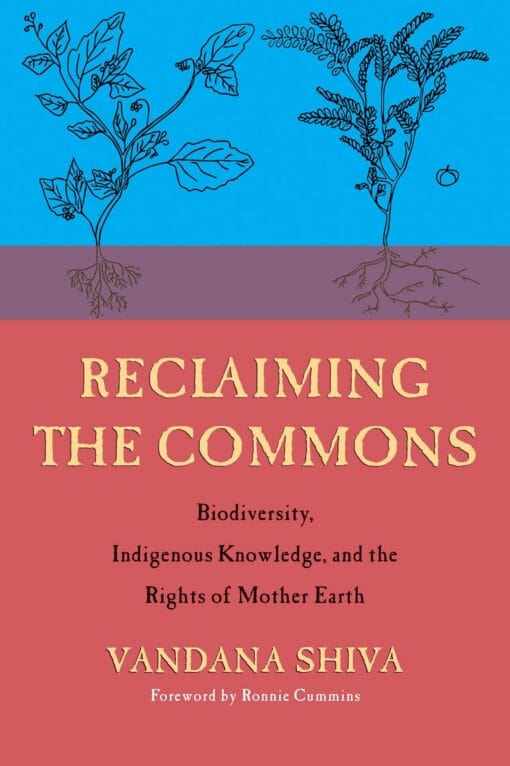 Reclaiming.the_.Commons